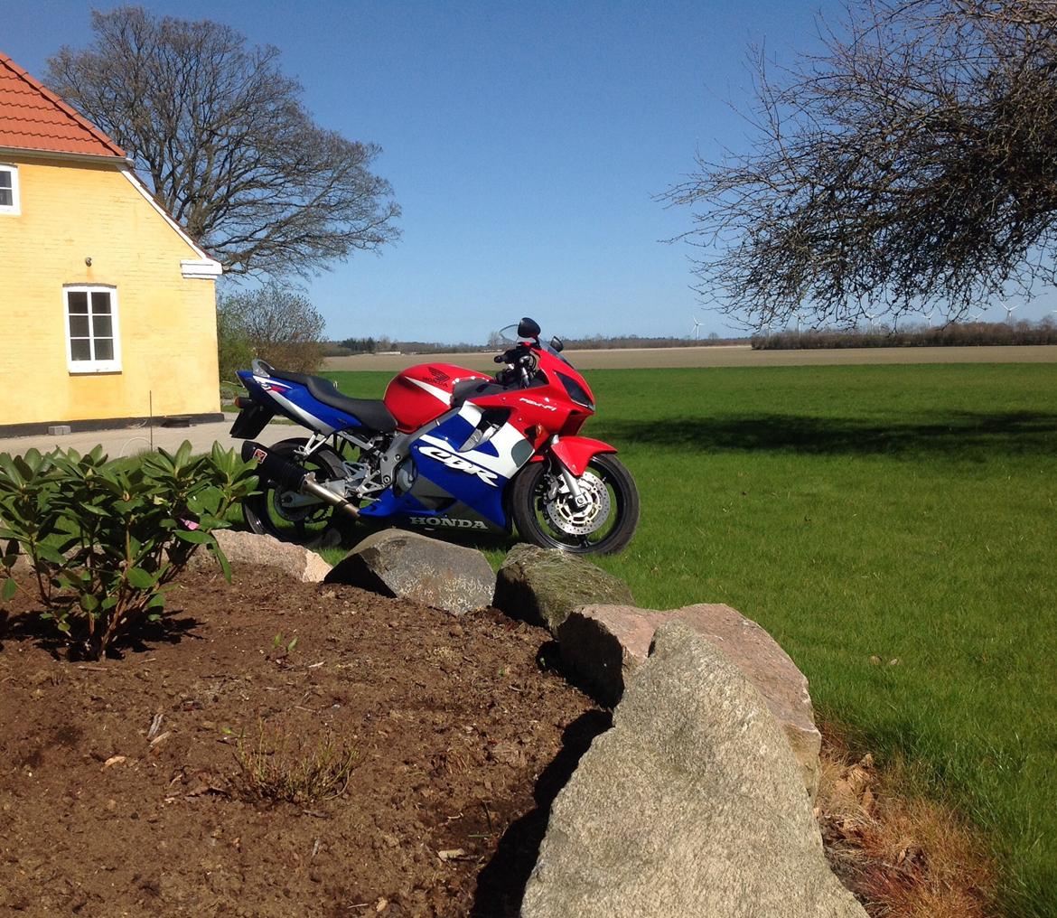 Honda CBR 600 F4i billede 3