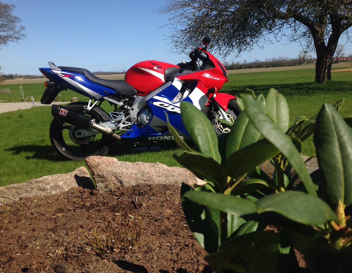 Honda CBR 600 F4i billede 5