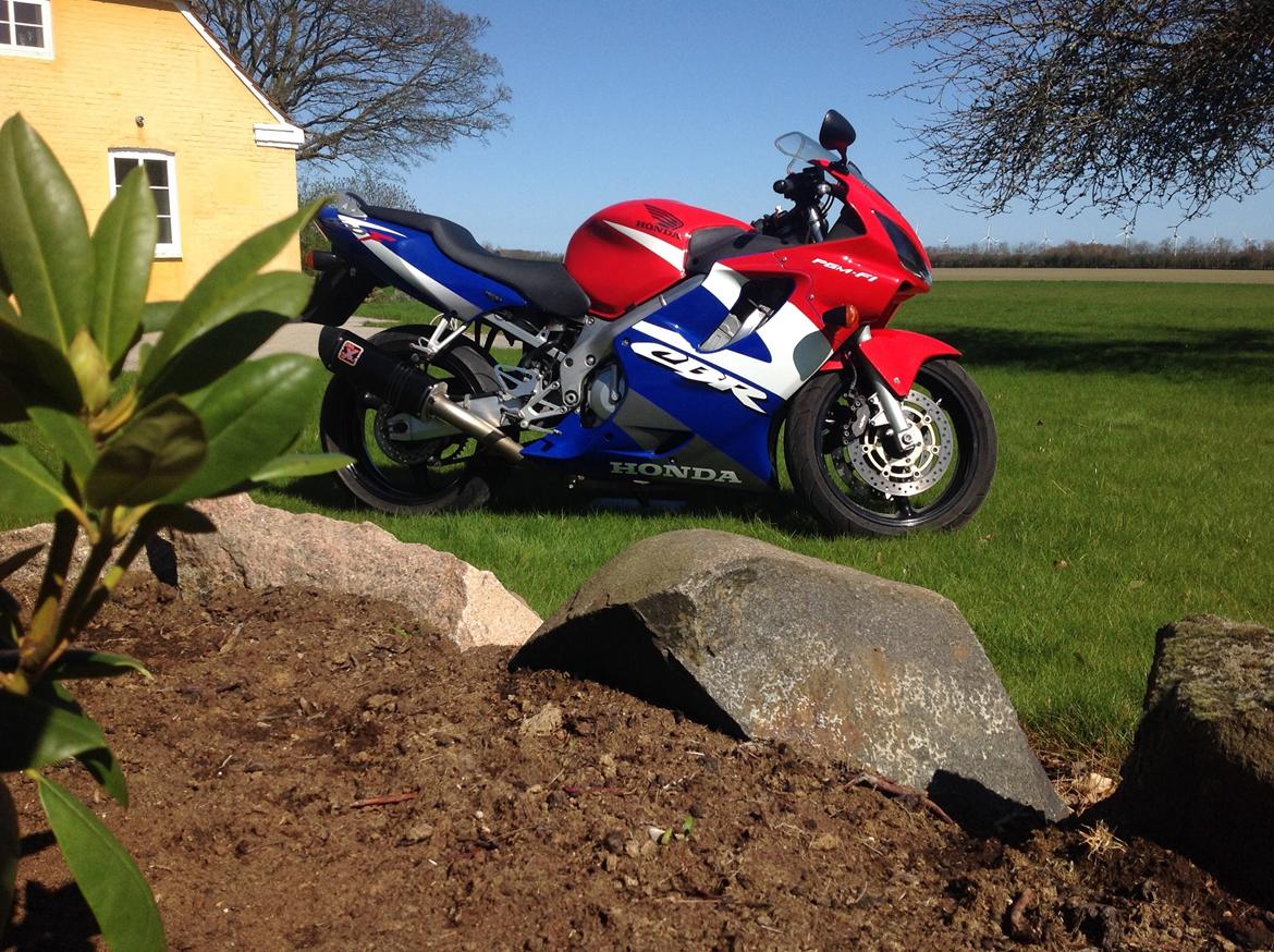 Honda CBR 600 F4i billede 6