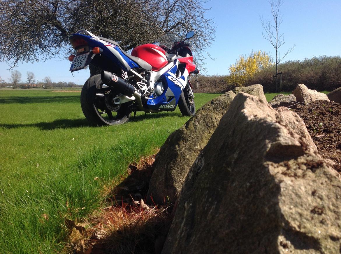 Honda CBR 600 F4i billede 7