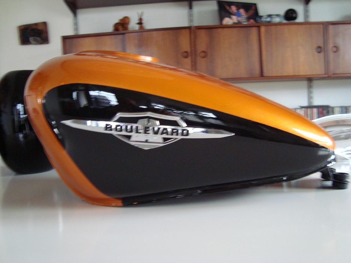 Suzuki LS 650 cc Savage billede 30