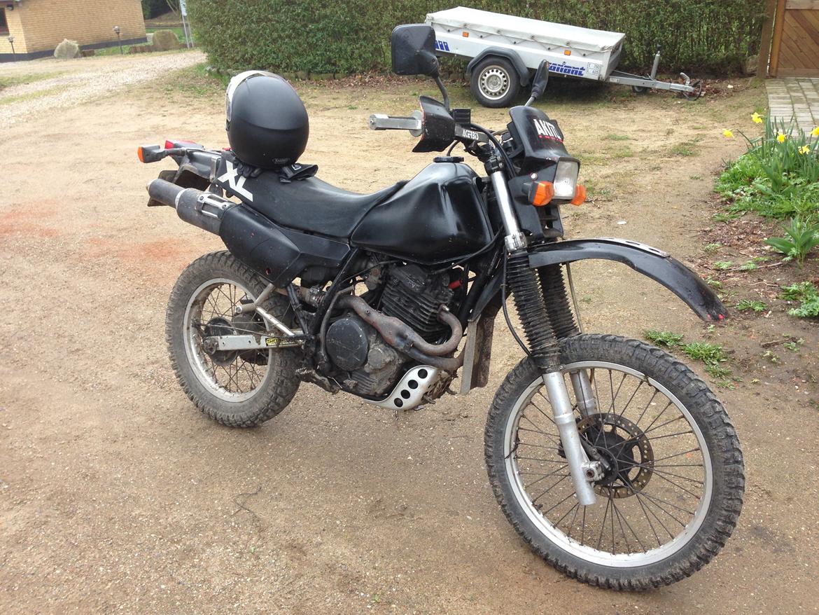 Honda XL 600 R billede 1