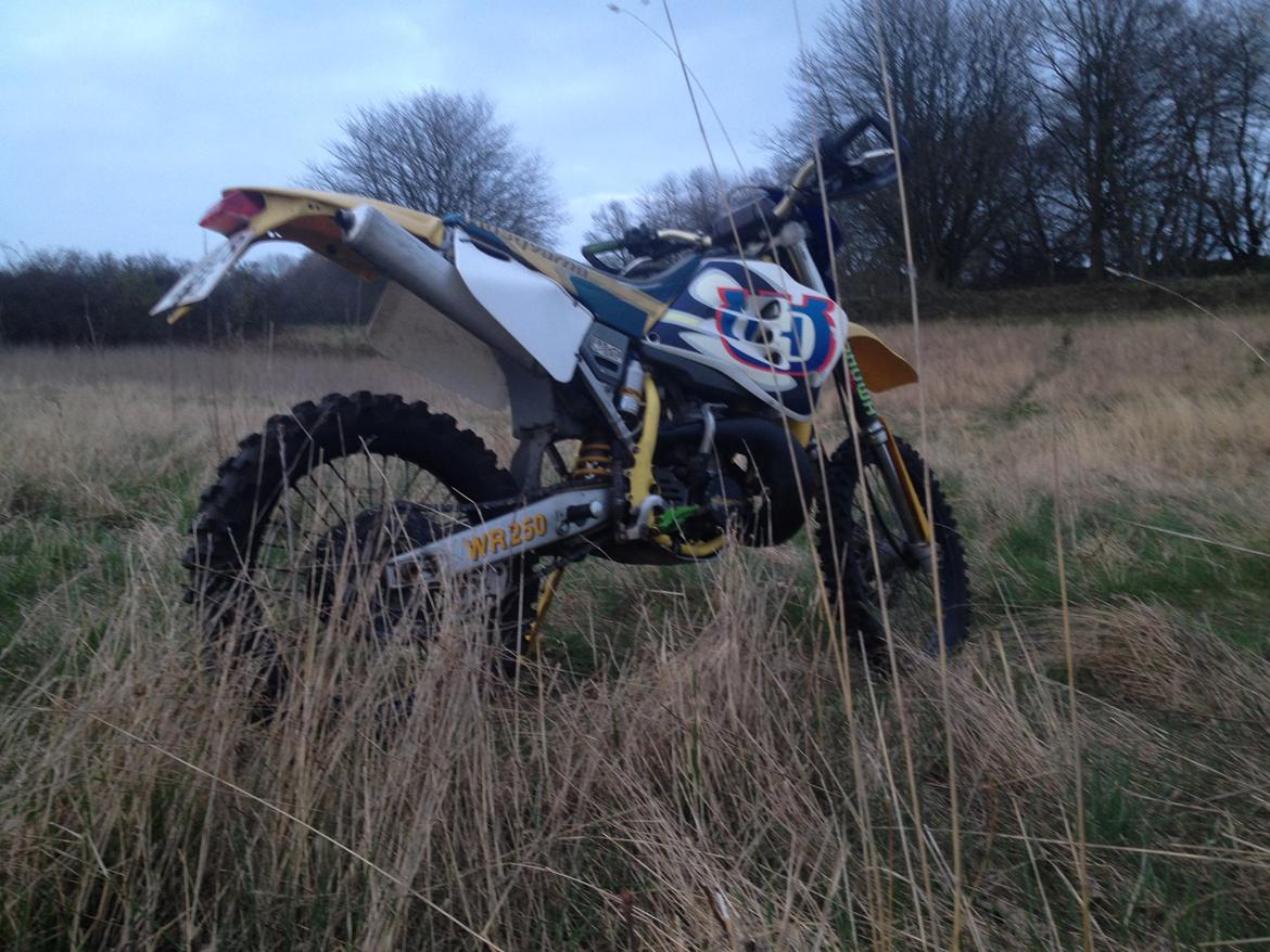 Husqvarna WR 250 billede 1