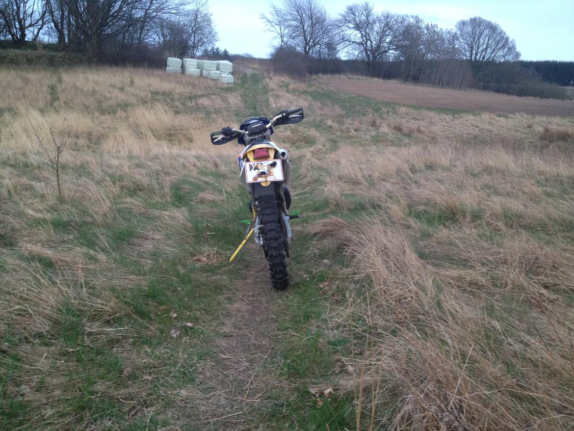 Husqvarna WR 250 billede 6