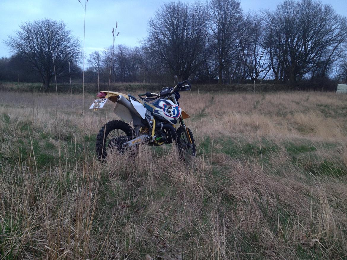 Husqvarna WR 250 billede 7