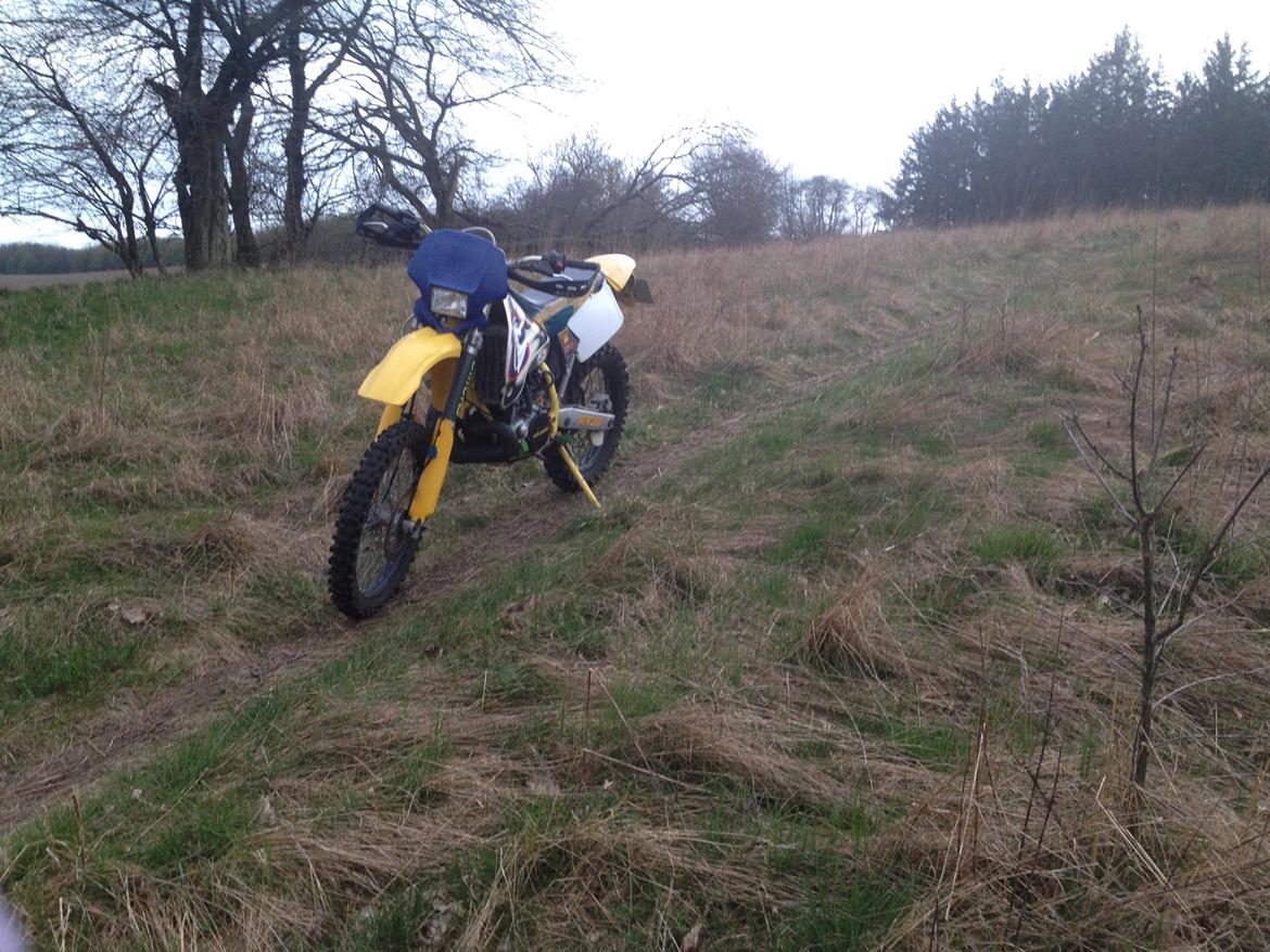 Husqvarna WR 250 billede 3