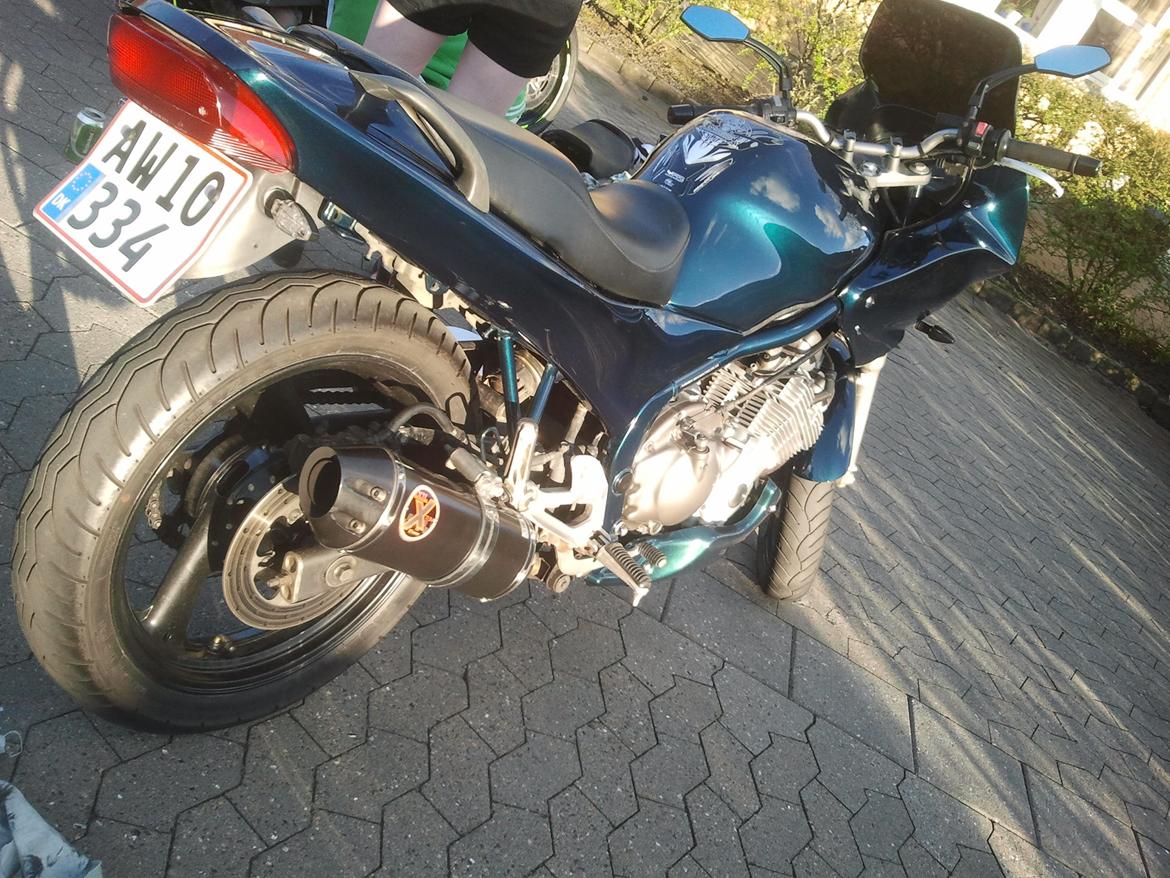 Yamaha XJ 600 S Diversion (Yamissen) billede 18