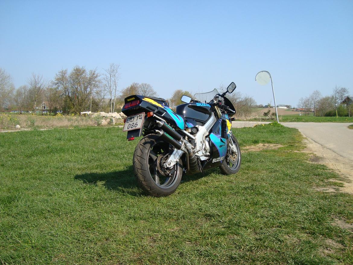 Suzuki RGV250 billede 3