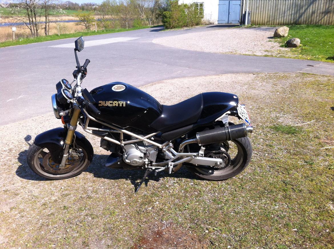 Ducati Monster billede 10