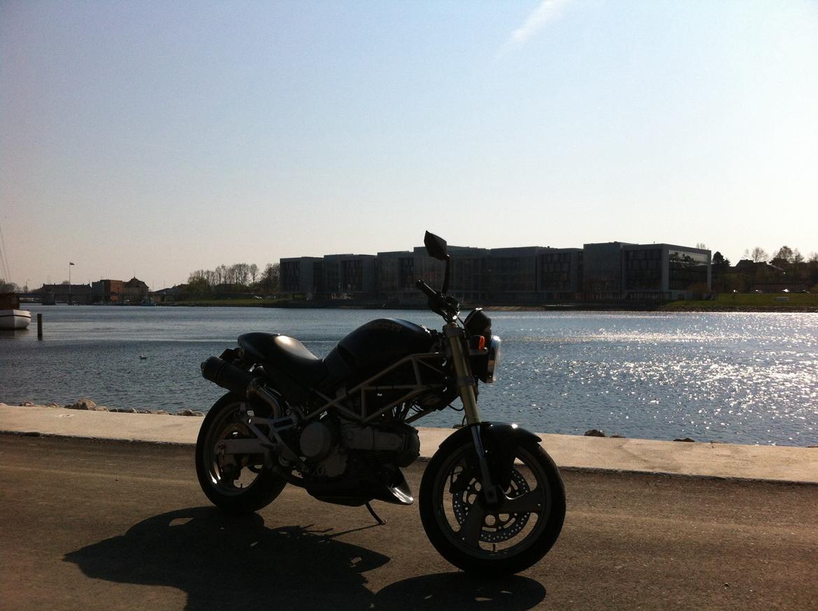 Ducati Monster billede 12