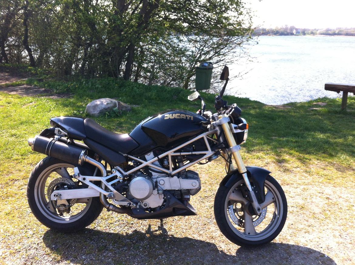 Ducati Monster billede 15