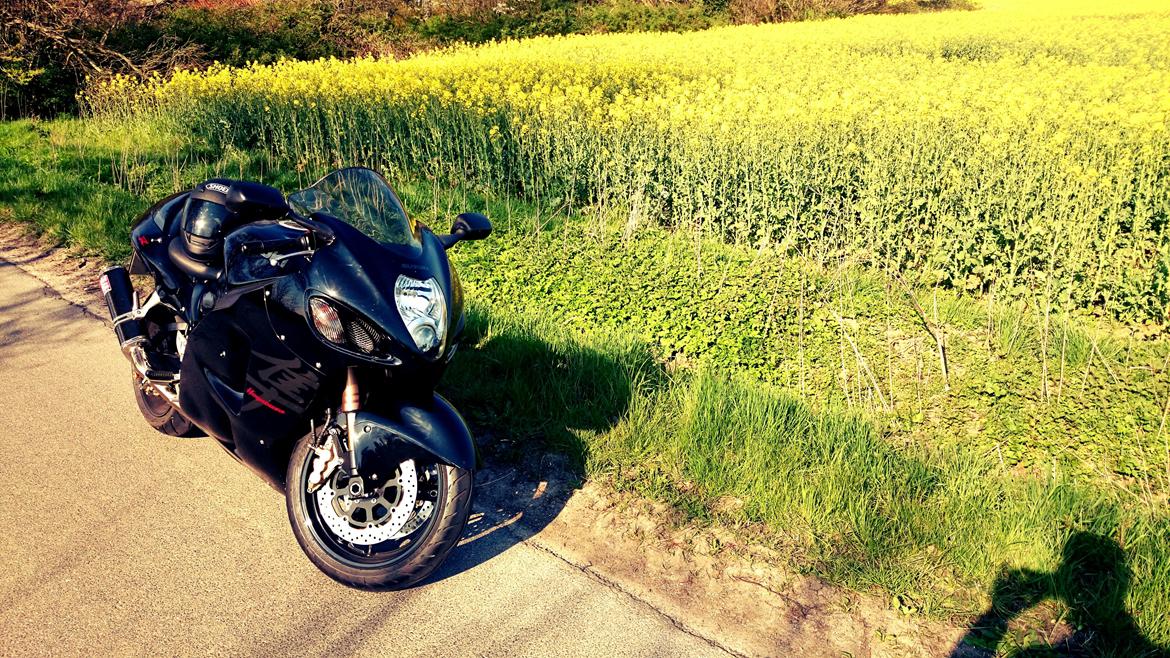 Suzuki GSX 1300 R Hayabusa Black Edition #SOLGT# billede 3