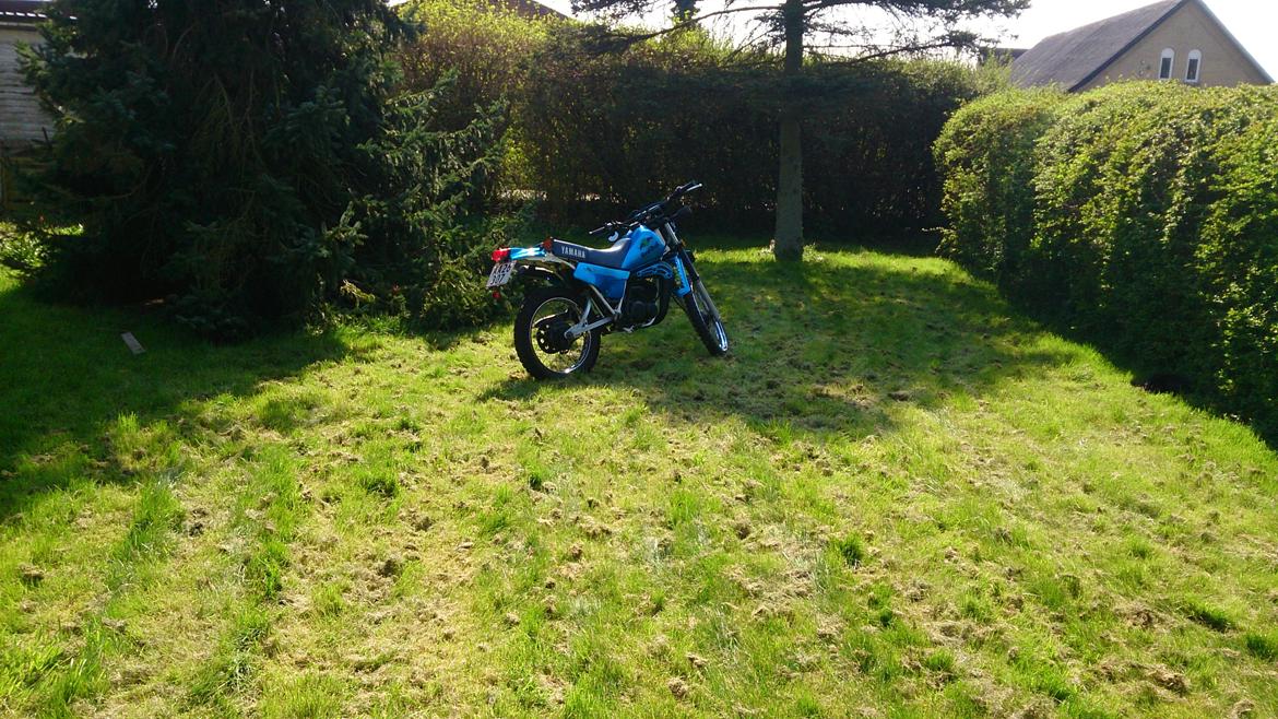 Yamaha Dt 175 billede 12