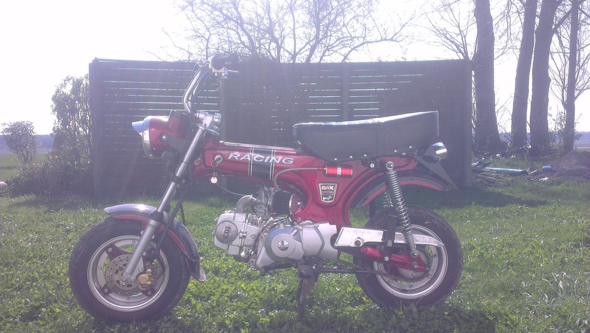 Zhenhua Dax 125cc [Tidligere Mc] billede 5