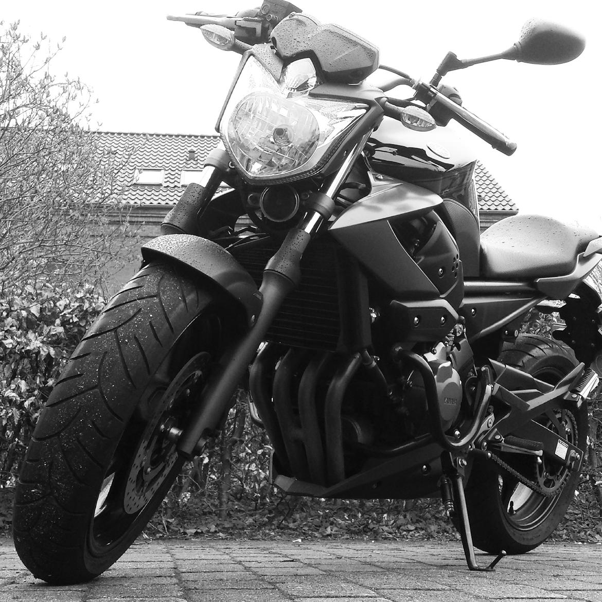 Yamaha XJ6N billede 5