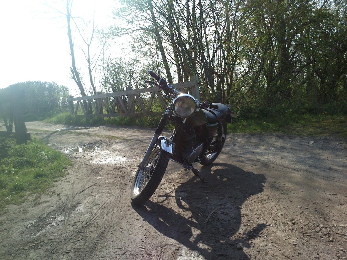 Yamaha SR500 billede 3