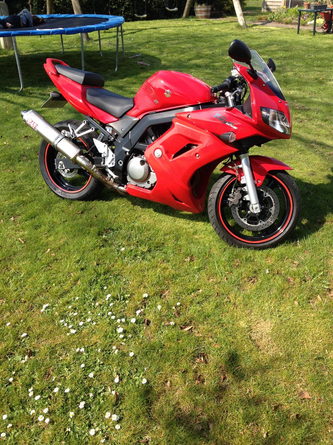 Suzuki SV 650S billede 9