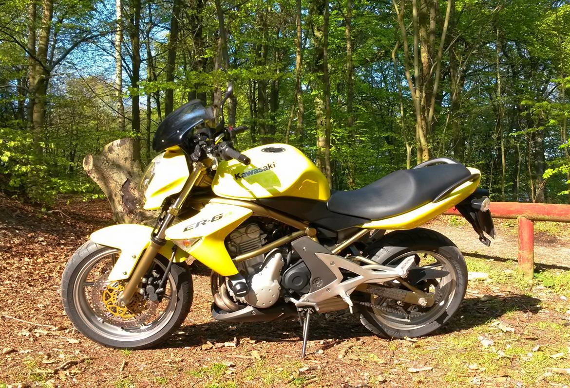 Kawasaki ER-6n - Bananen - i skoven billede 15