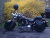 Harley Davidson Fat Boy