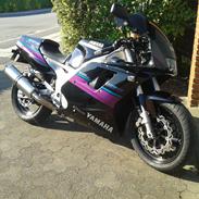 Yamaha FZR 1000 Exup