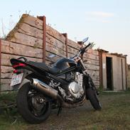 Suzuki 1250 Bandit #SOLGT#