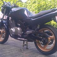 Suzuki GS 500 E