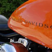 Harley Davidson Sportster XLS Iron Tidligere