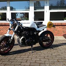 Suzuki GSF 600 Cafe-Racer  (SOLGT)