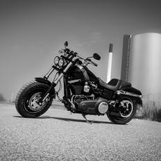 Harley Davidson Fatbob Vivid Black