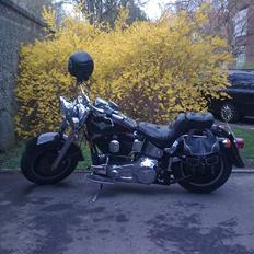 Harley Davidson Fat Boy