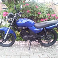 Yamaha YBR 125