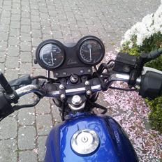 Yamaha YBR 125