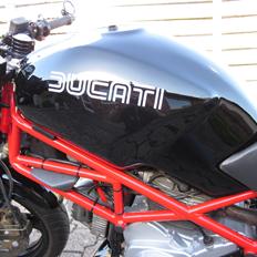 Ducati Monster