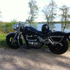 Suzuki vz800 Marauder