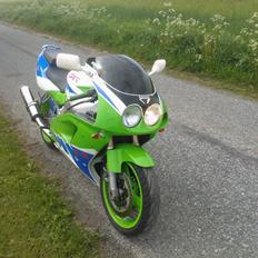 Kawasaki ZXR 750L