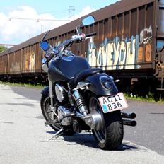 Kawasaki VN1600 Mean Streak