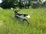 Husqvarna WR 250
