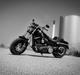 Harley Davidson Fatbob Vivid Black