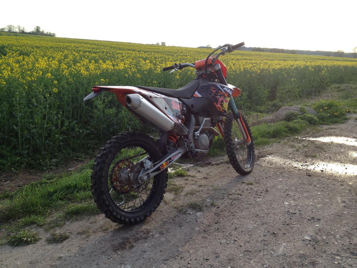 KTM 250 SXf billede 6