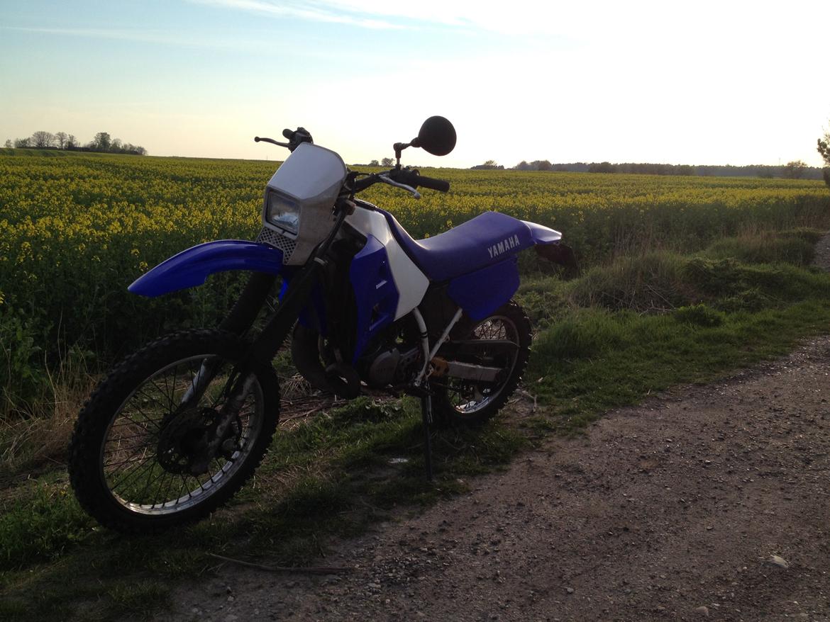 Yamaha DT 125 R billede 2