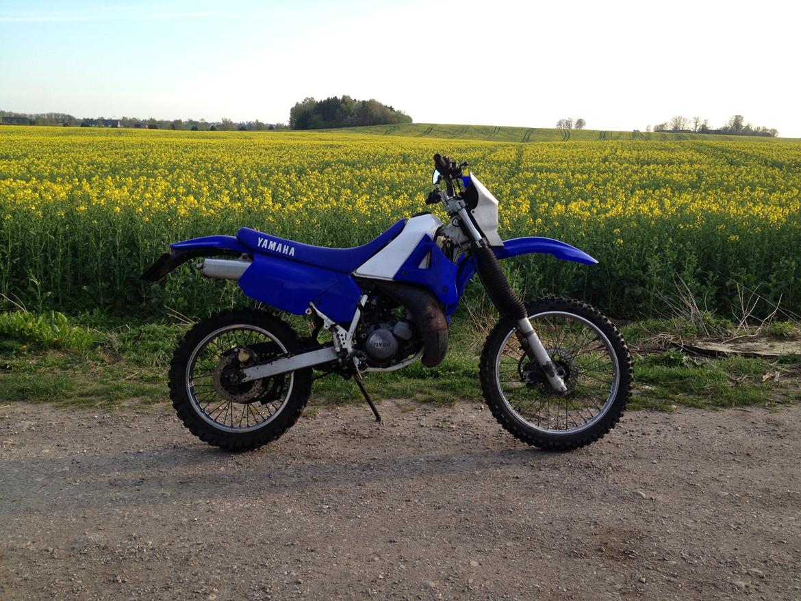 Yamaha DT 125 R billede 4