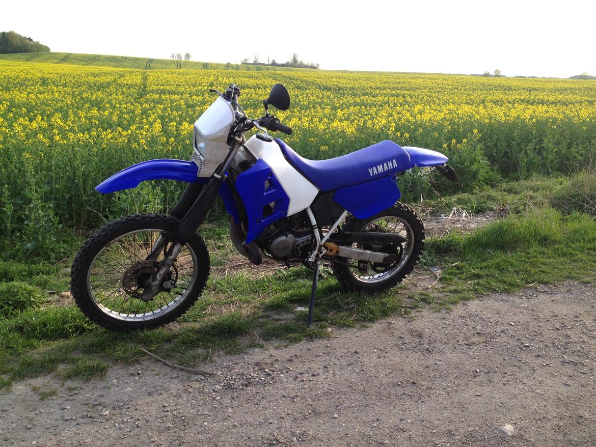 Yamaha DT 125 R billede 1