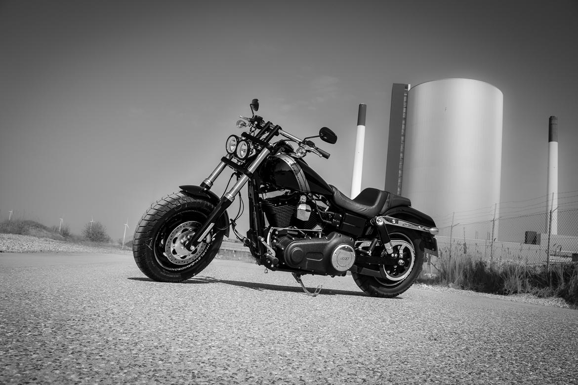 Harley Davidson Fatbob Vivid Black billede 1