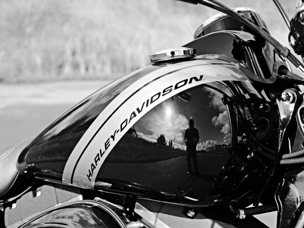 Harley Davidson Fatbob Vivid Black billede 5