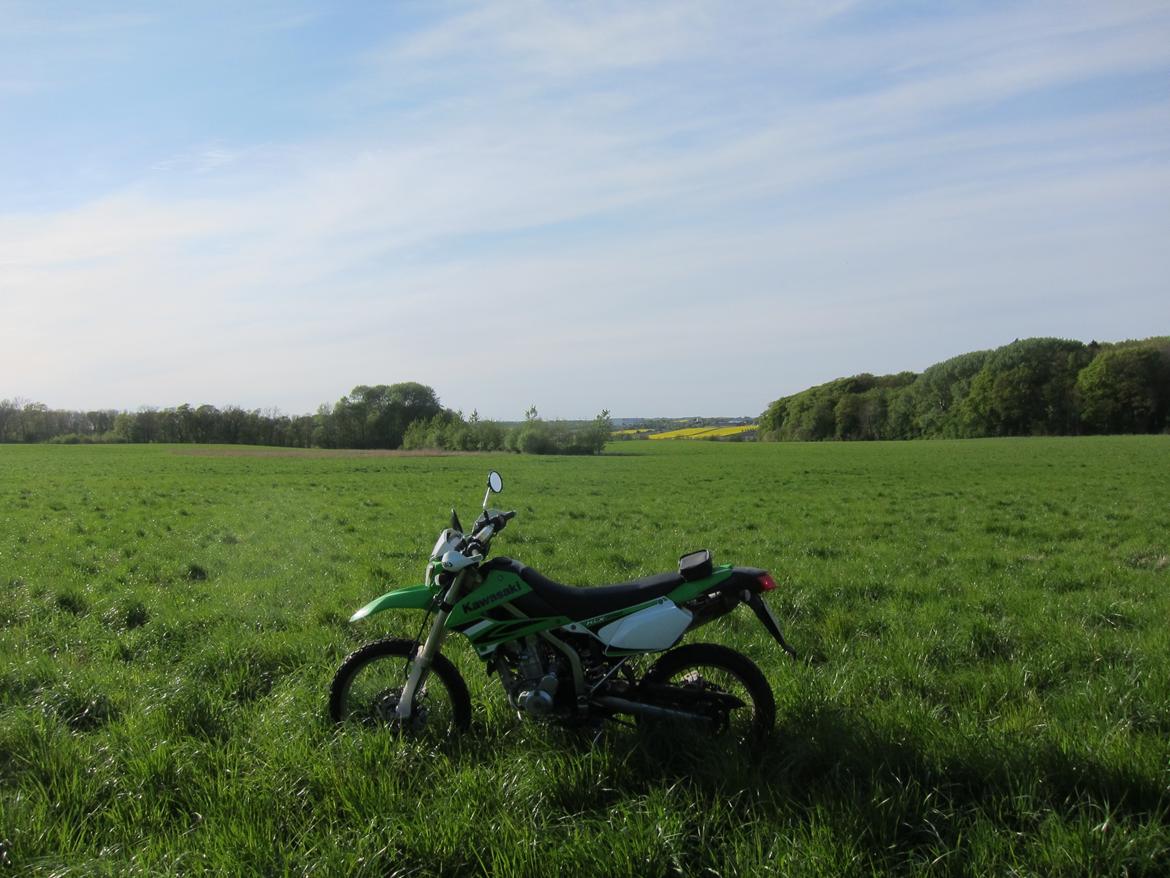 Kawasaki KLX 250 (292cc big bore) billede 8