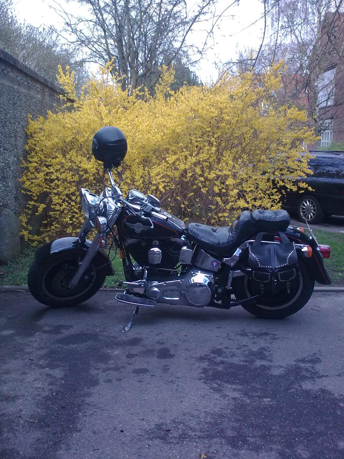 Harley Davidson Fat Boy billede 1