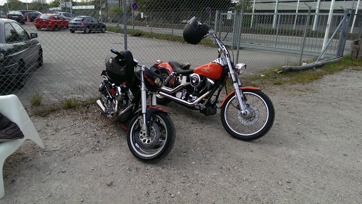 Harley Davidson XLH 1200 billede 10