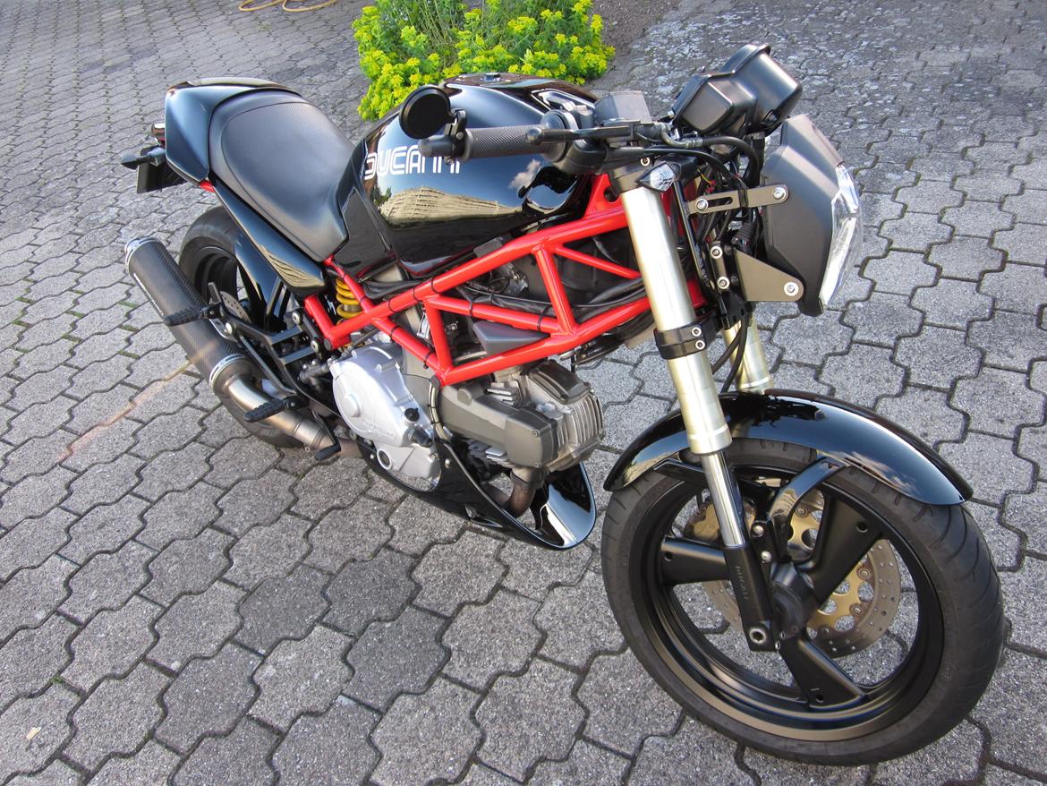 Ducati Monster billede 1
