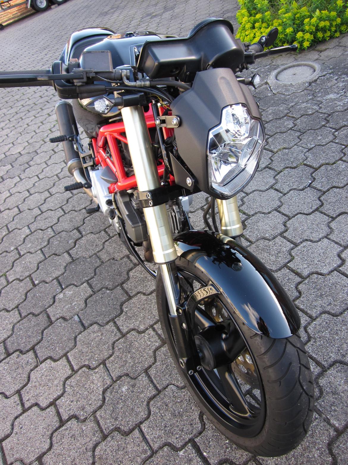 Ducati Monster billede 5
