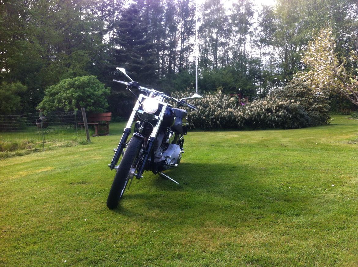 Harley Davidson Fxst softail billede 13